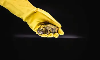 Hand in gelbem Gummihandschuh hält ein dunkelbraunes, gelblich gemasertes Gesteinsstück vor schwarzem Hintergrund.