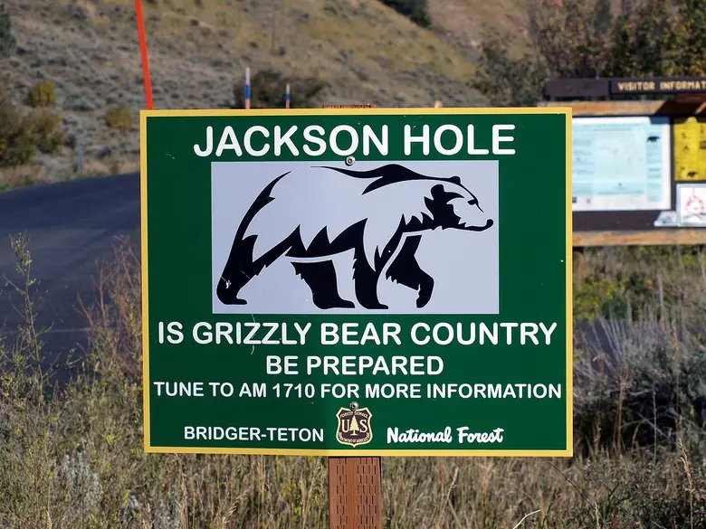 Grünes Hinweisschild mit der Aufschrift Jackson Hole und der Silhouette eines Grizzlybären, darunter der Warnhinweis Is Grizzly Bear Country, Be Prepared.