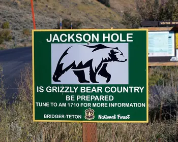 Grünes Hinweisschild mit der Aufschrift Jackson Hole und der Silhouette eines Grizzlybären, darunter der Warnhinweis Is Grizzly Bear Country, Be Prepared.