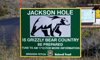 Grünes Hinweisschild mit der Aufschrift Jackson Hole und der Silhouette eines Grizzlybären, darunter der Warnhinweis Is Grizzly Bear Country, Be Prepared.