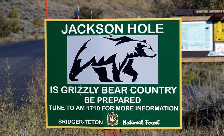 Grünes Hinweisschild mit der Aufschrift Jackson Hole und der Silhouette eines Grizzlybären, darunter der Warnhinweis Is Grizzly Bear Country, Be Prepared.