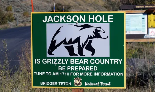 Grünes Hinweisschild mit der Aufschrift Jackson Hole und der Silhouette eines Grizzlybären, darunter der Warnhinweis Is Grizzly Bear Country, Be Prepared.
