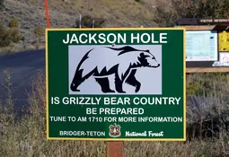 Grünes Hinweisschild mit der Aufschrift Jackson Hole und der Silhouette eines Grizzlybären, darunter der Warnhinweis Is Grizzly Bear Country, Be Prepared.