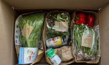 Inhalt einer Kochbox von HelloFresh.